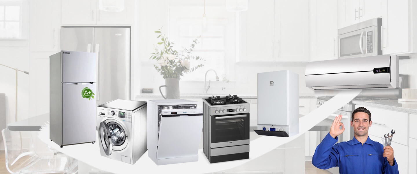 Çiçekdağı İmmergas Servisi